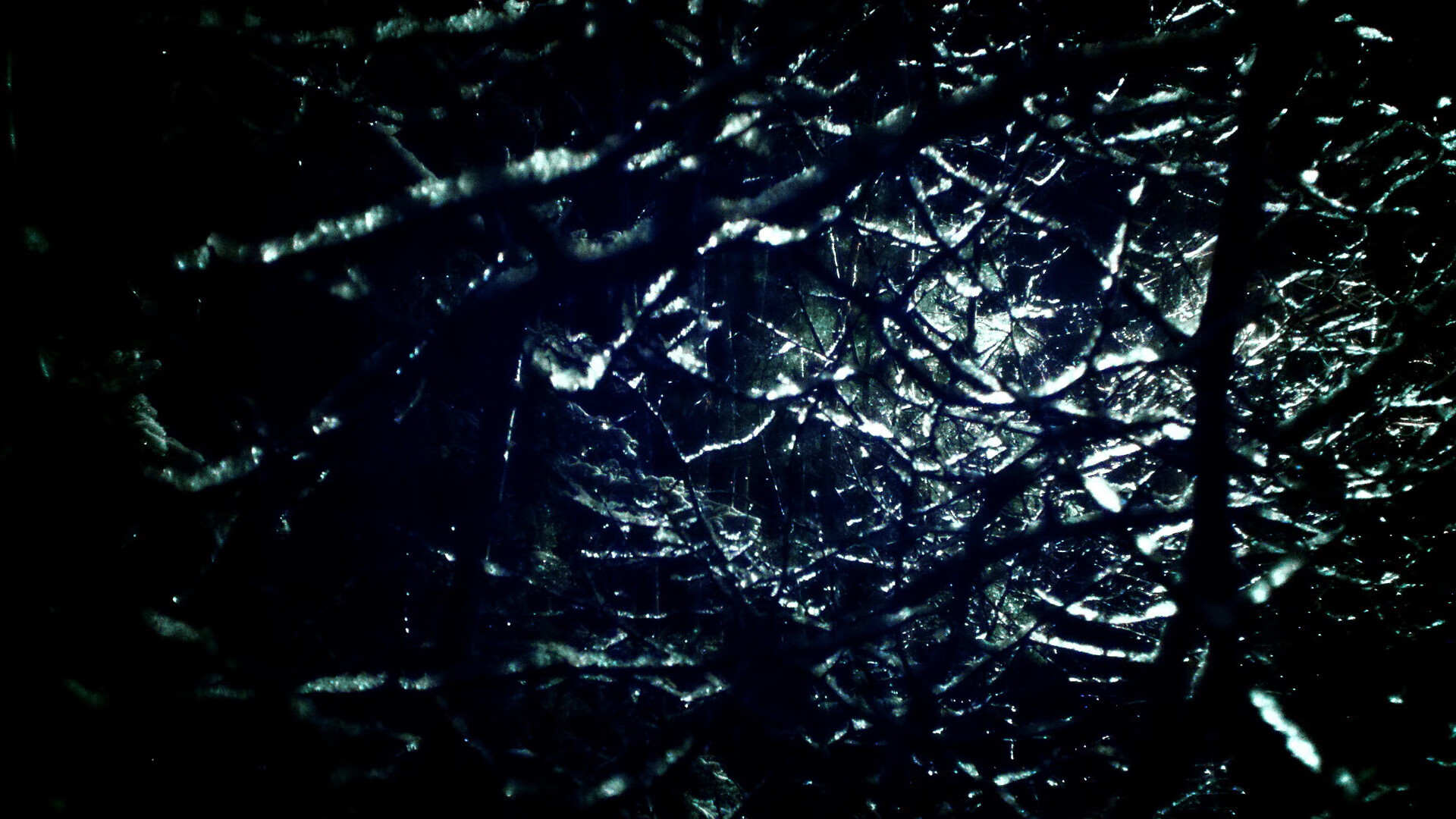 fb体育app官网-WRC挑战极限:澳大利亚沙漠拉力激烈角逐,澳大利亚西部沙漠