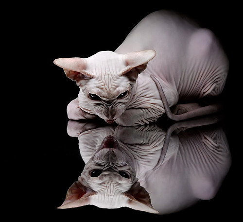 FB体育注册网址-全民艺术运动会:全民参与的文化盛宴,全民艺术体验日