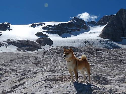 fb体育官网首页-球迷“吐槽大会”:最令人吐槽的欧冠瞬间,吐槽大会篮球足球互相吐槽哪一期