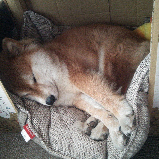 FB体育平台-威尔士队以惊人比分大胜白俄罗斯,提升信心,威尔士vs白俄罗斯直播