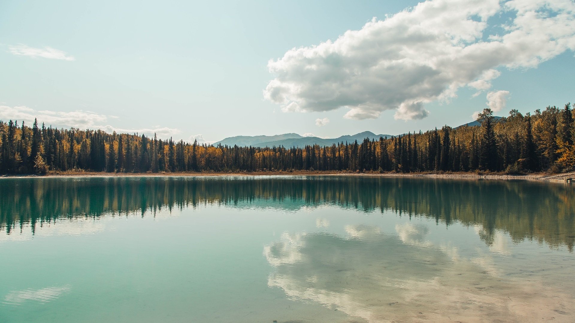 FB体育下载-体育产业市场竞争策略,体育产业市场竞争策略研究