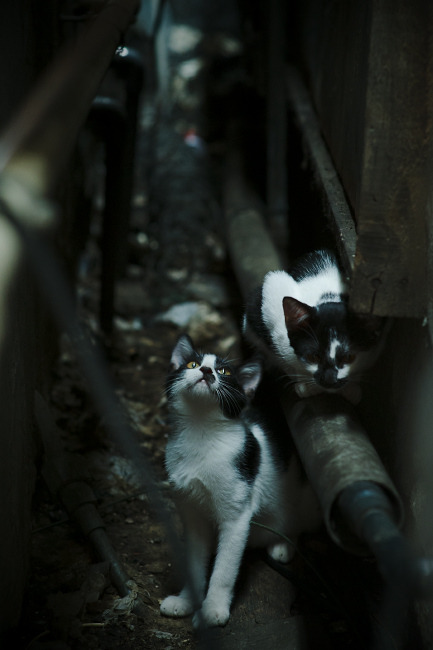 FB体育注册网址-英超比赛中压迫防守对对手传球线路限制效果分析，英超哪个球队打防守反击