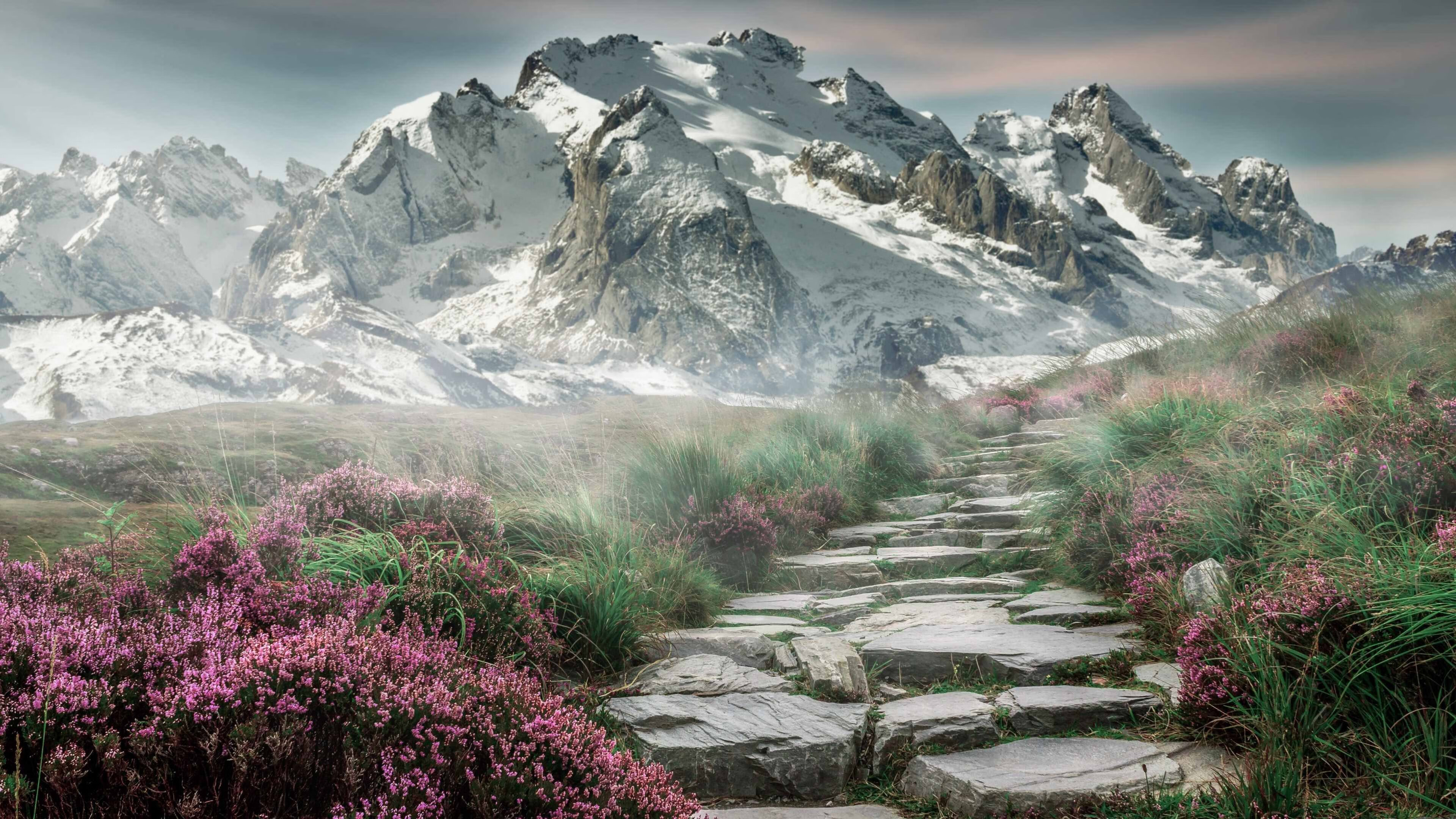 FB体育注册网址-图赫尔战术调整助切尔西突破重围,图赫尔执教切尔西用什么阵型