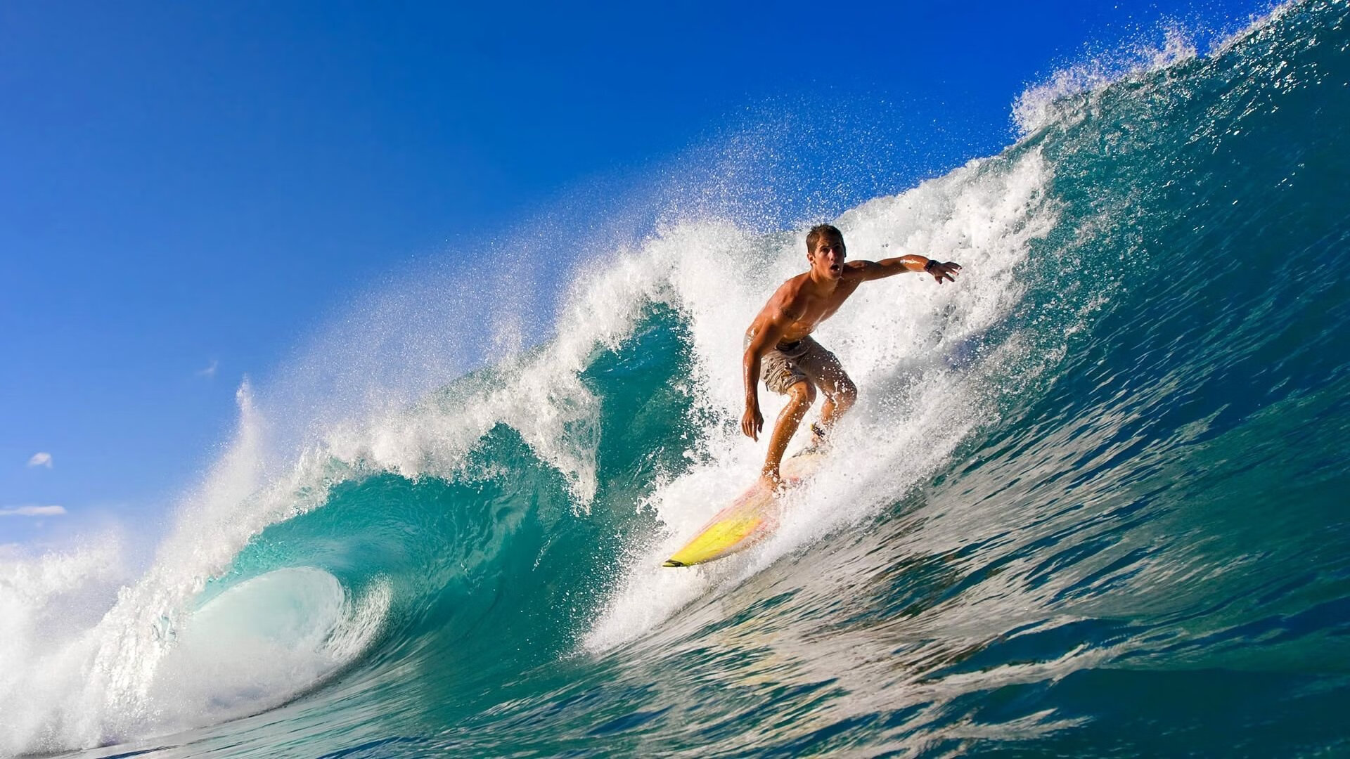 _举办国际经典赛：推动本土体育产业繁荣_，举办国际体育赛事