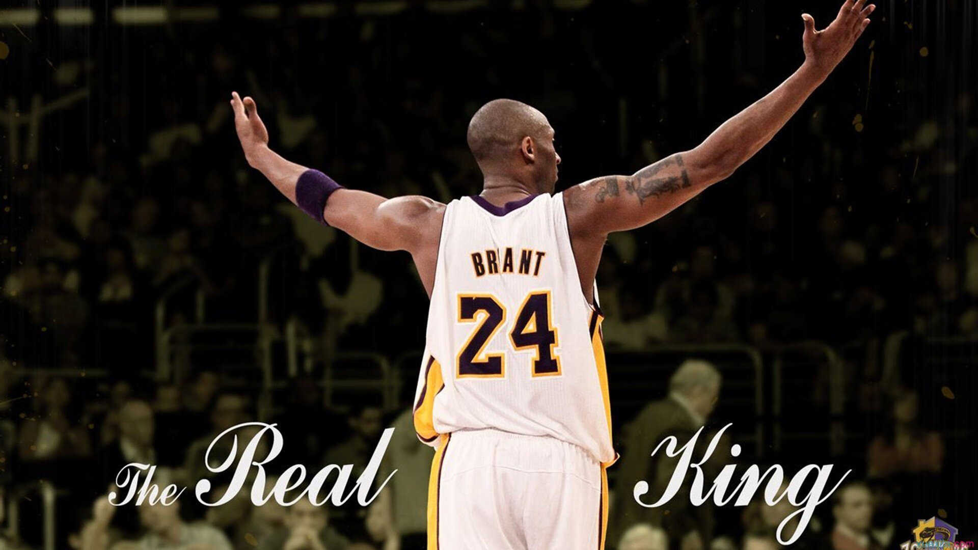 史上最瞩目的“黑马突围”，他们还有哪些潜力？，黑马突出重围